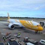 Scoot Dreamliner